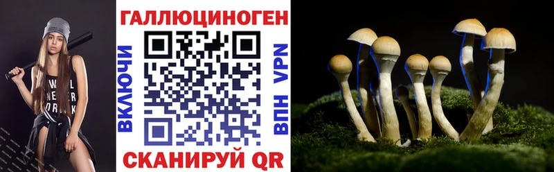 купить   Щёкино  Галлюциногенные грибы MAGIC MUSHROOMS 